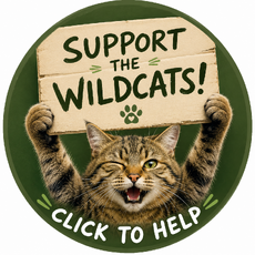 Click to help save the Scottish Wildcat